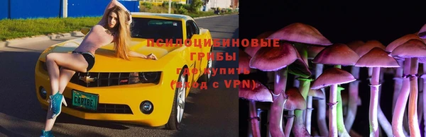 спиды Белоозёрский
