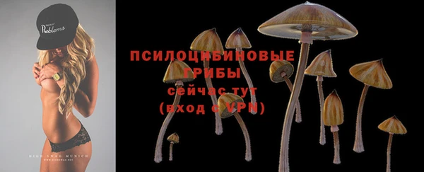 скорость Балахна