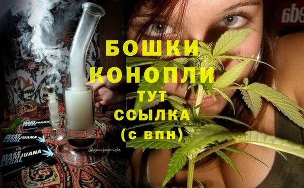 винт Аркадак